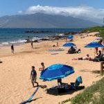 Popular Kamaole Beach III is very close